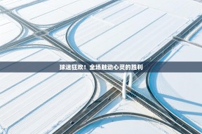 球迷狂欢！全场触动心灵的胜利