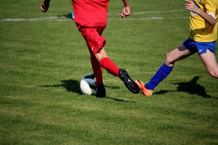 开云体育app入口-国家队与俱乐部之间协调机制为何不顺畅，国家队比赛和俱乐部比赛冲突